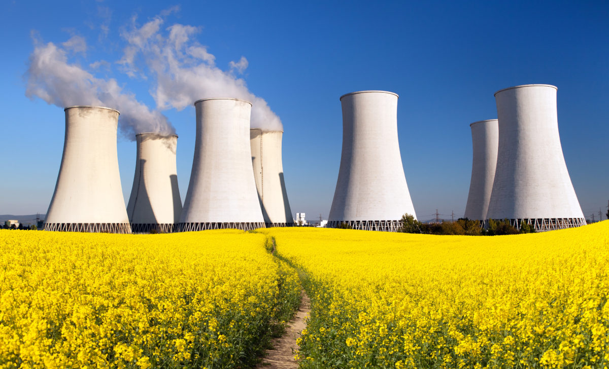 Nuclear power plant, cooling tower, field of rapeseed