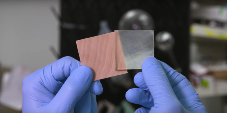Transparent wood