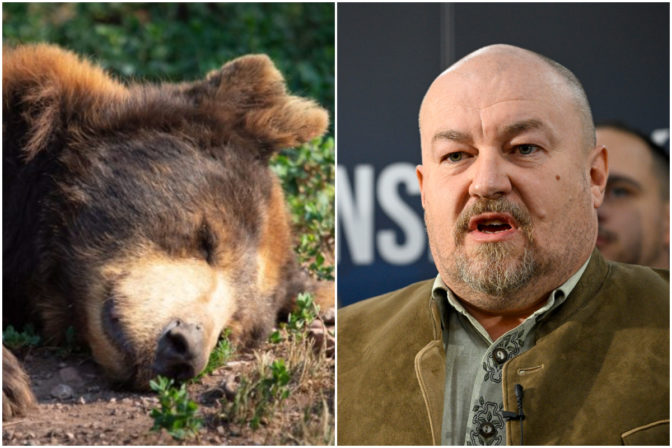 V Očovej zastrelili problémového medveďa