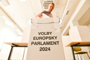 Voľby do europarlamentu 2024