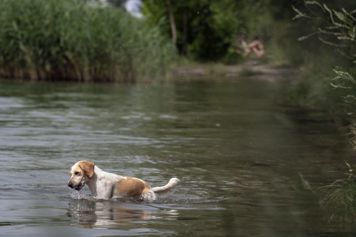 POČASIE: Tropické teploty v Bratislave