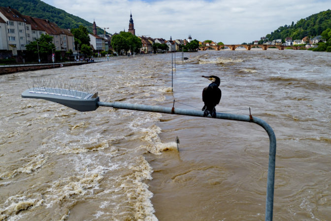 Záplavy v Nemecku