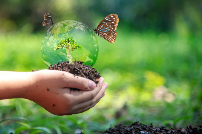 Hands child holding tree with butterfly keep environment on the back soil in the nature park of growth of plant for reduce global warming, green nature background. Ecology and environment concept.