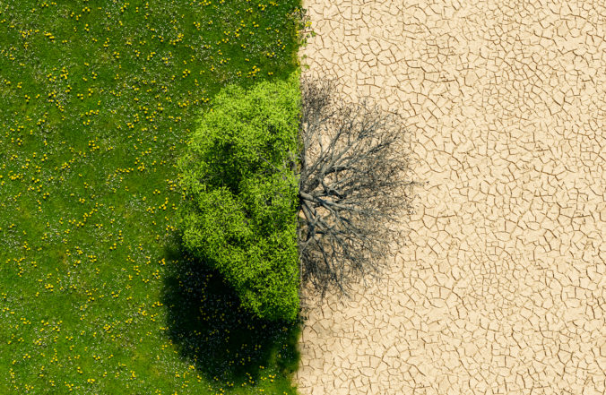 Top view of a green landscape with half in drought