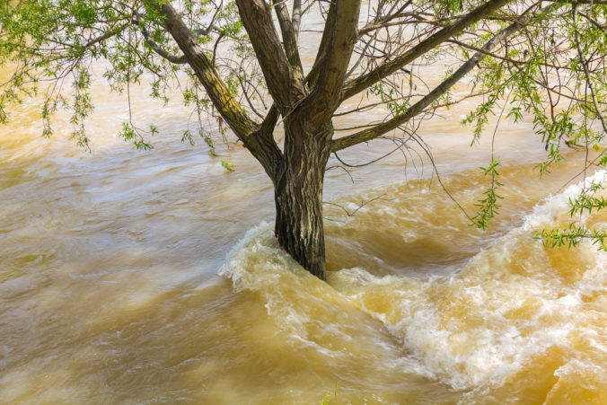 Due to heavy rains