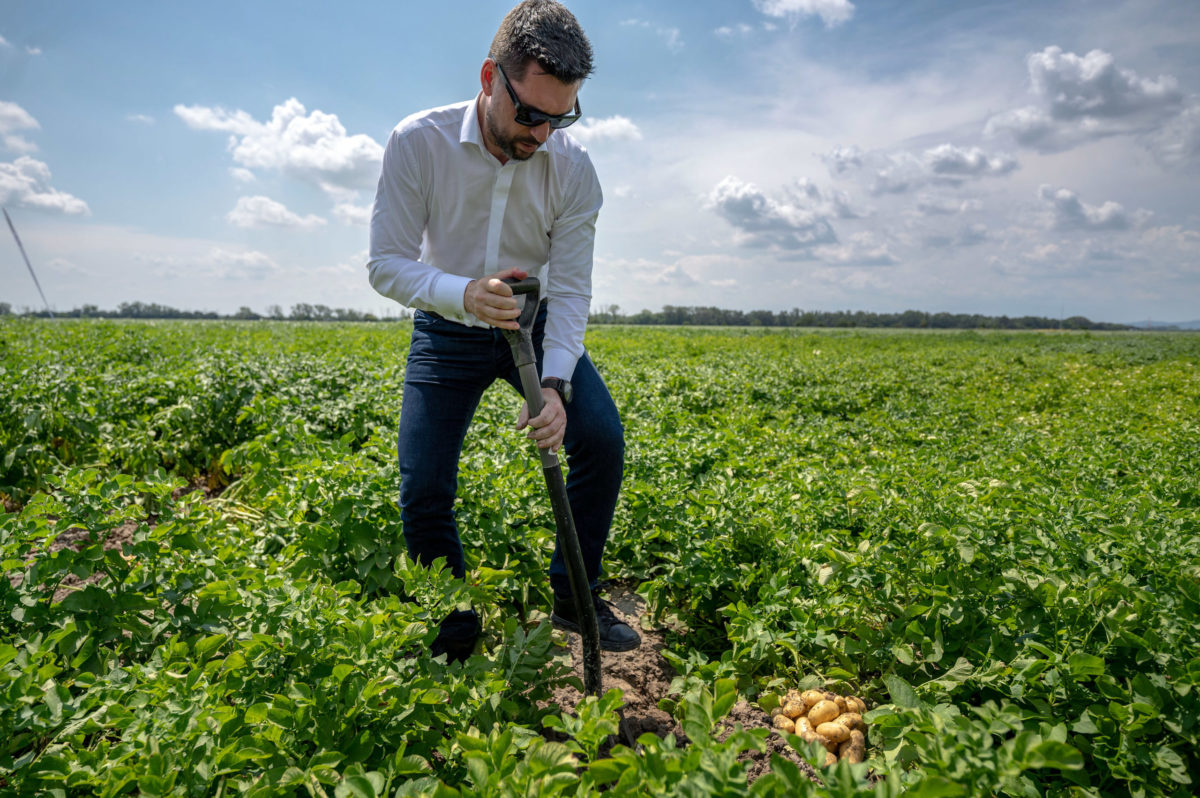 AGRO: Deň zemiakového poľa - Privítanie úrody