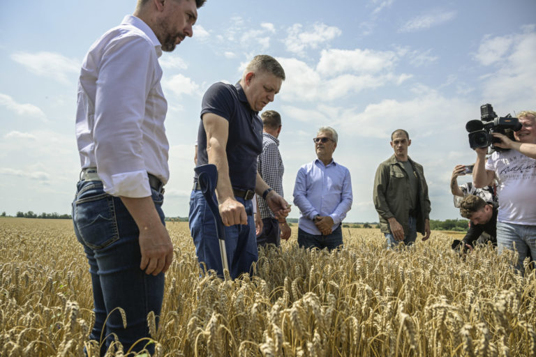 FICO: Žatevný deň 2024