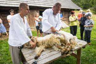 VYCHYLOVKA: Ovčiarska nedeľa