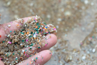 Close up side shot of hands shows microplastic waste contaminated with the seaside sand. Microplastics are contaminated in the sea. Concept of water pollution and global warming.