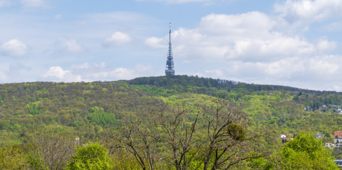 Television transmitter on top of hill with forest