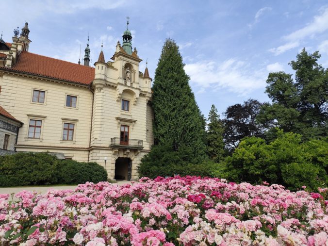 Průhonický zámok obklopený rozkvitnutými ružovými kvetmi v Průhonickom parku počas slnečného dňa