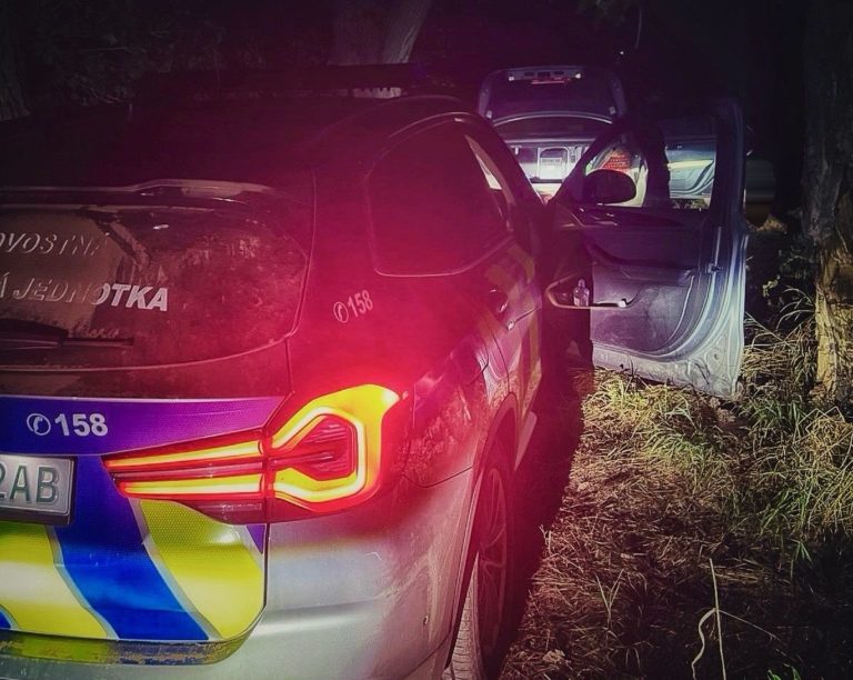 Policajná naháňačka, Nitra