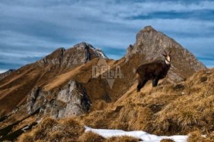 Belianske tatry.jpg