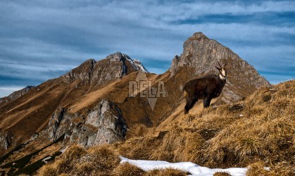 Belianske tatry.jpg