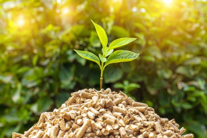 Mladá zelená rastlina vyrastajúca z hromady biomasy, symbolizujúca udržateľný rast a obnovu životného prostredia.