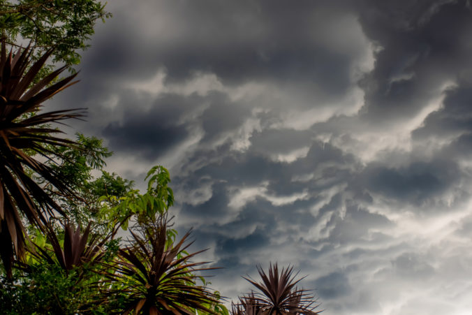 The storm is coming. Storm clouds above the tree. Heavy torrential rain. Rainfall flash flooding . Metorology weather forecast. Low pressure area. La Nina climate