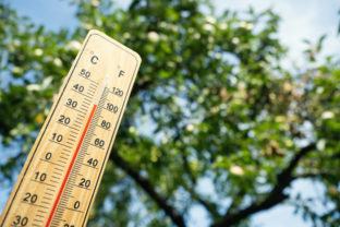 Wooden thermometer showing high temperature on sunny day.