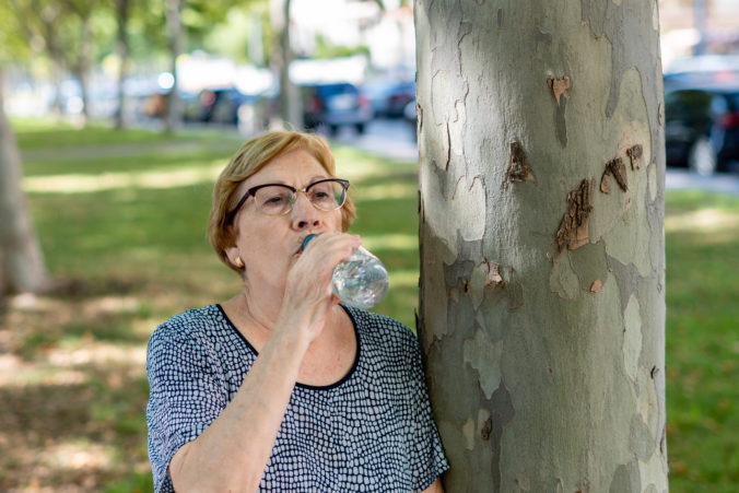 Elderly woman drink water bottle tree park