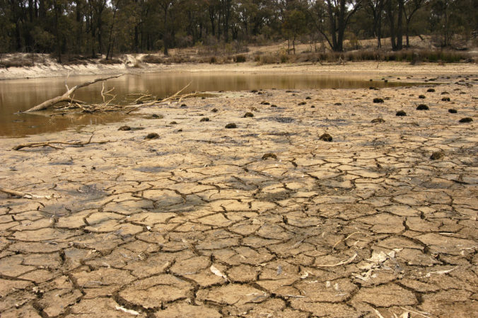 Drying mud near bush dam