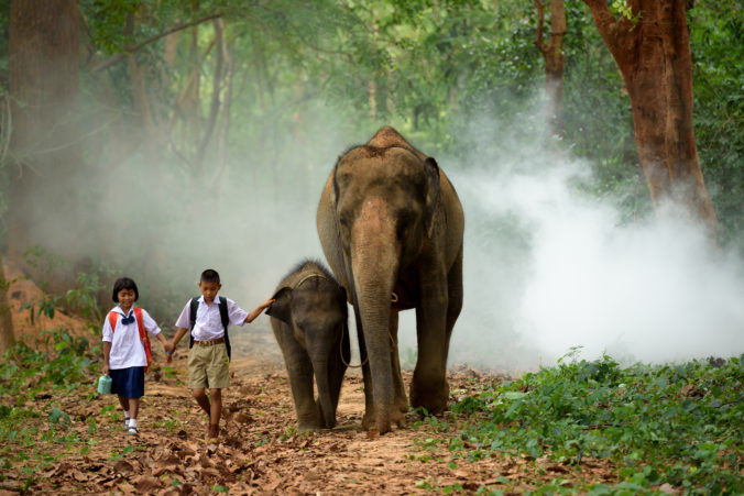 Students go back home