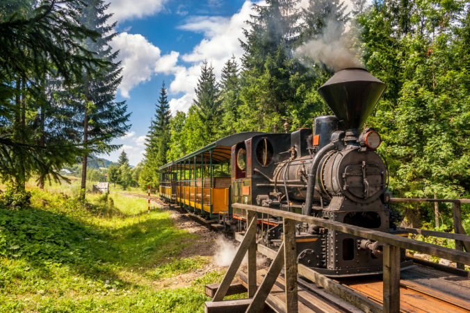 Steam locomotive in forest railways.