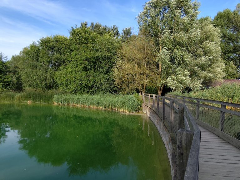 Živá voda Modrá – Fascinujúci svet pod vodou