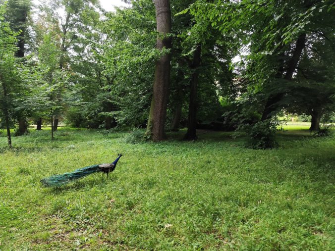 Arcibiskupský zámok Kroměříž a Podzámocká záhrada