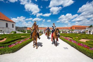 Martin_koller_bkd_2023_leto_kupene_bratislavske_korunovacne_dni_vyhradna_licencia_casovo_neobmedzena 2.jpg