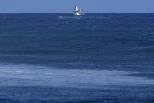 OH v Paríži 2024, surfing