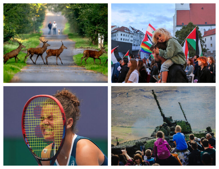 Top foto dňa: 28. september 2024