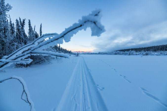 Winter time views in northern Canada, Yukon Territory along the Yukon River.