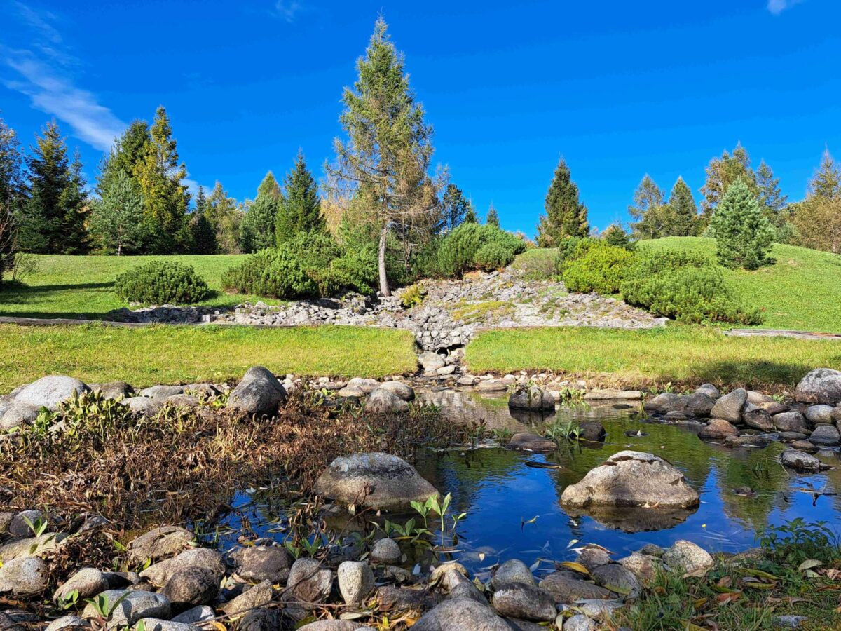 VYSOKÉ TATRY: Botanická záhrada