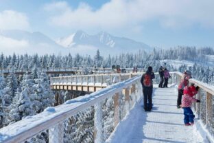 Csm_treetop_walk_mountains_bachledka_ski_2022283_8e4adaf1a8.jpg