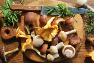 Mix of forest mushrooms on cutting board over old wooden table