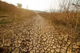 Ekologický kolaps: Dehydrovaná, popraskaná zem so suchou vegetáciou vykazujúcou známky extrémneho sucha.