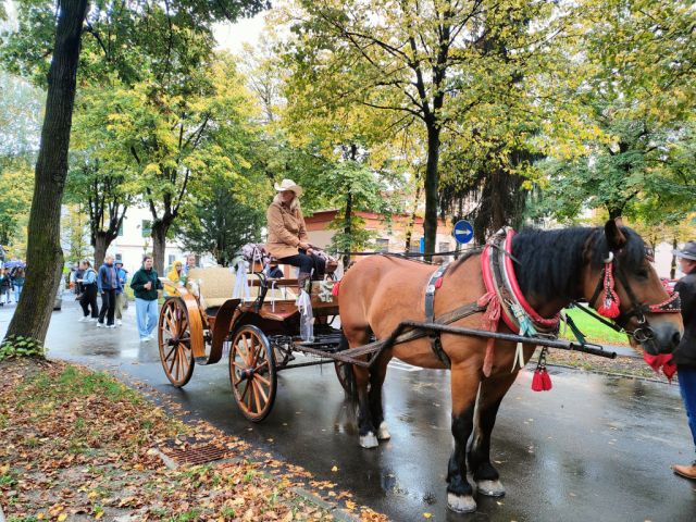 Hubertova jazda, Košice