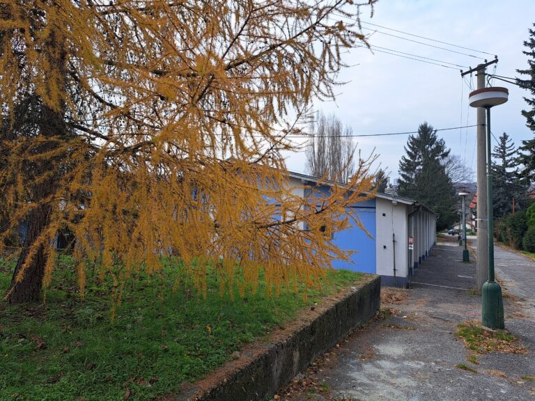 BSK k revitalizácii areálu na Patrónke, súčasný stav