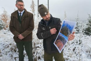 VYSOKÉ TATRY: 20 rokov po kalamite