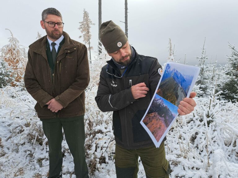 VYSOKÉ TATRY: 20 rokov po kalamite