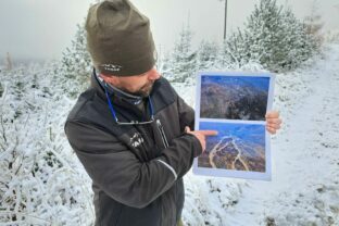 VYSOKÉ TATRY: 20 rokov po kalamite