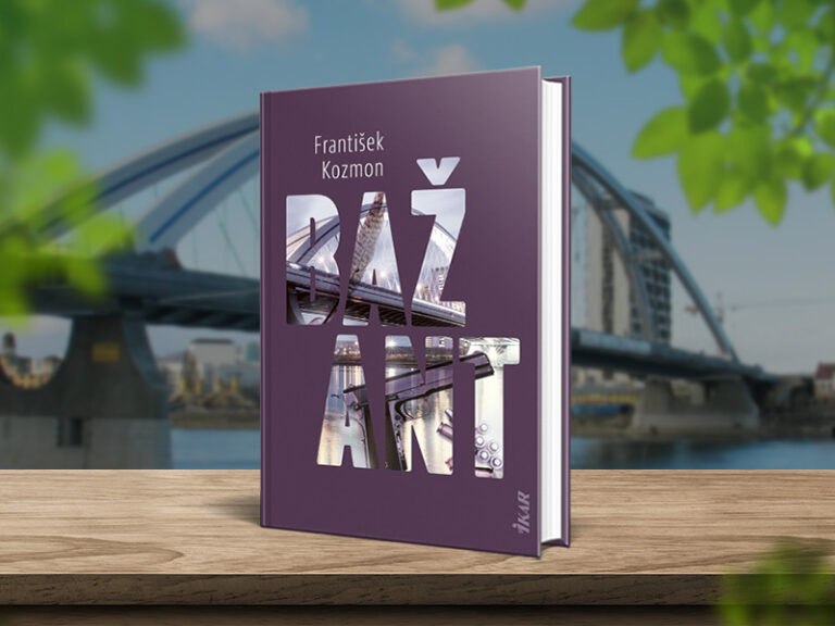 Bazant 2.jpg