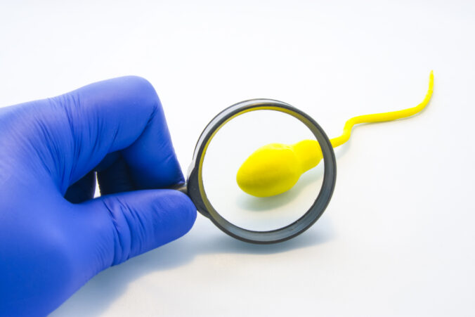 Sperm or semen test or analysis concept photo. Doctor, technician or scientist looks at model sperm cell through magnifying glass on white background. Diagnostics in urology at health and viability