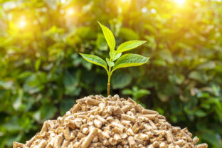 Small pile of wood pellets with on top of green leaves.