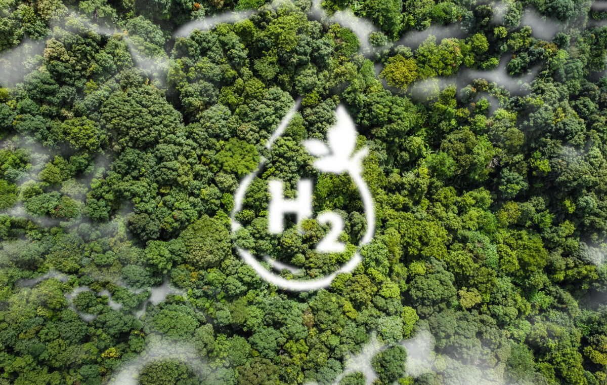 High angle view Hydrogen ecological metaphor as an ecological energy source White mist in the form of water droplets in the midst of untouched nature. virgin rainforest