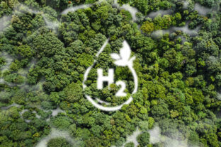 High angle view Hydrogen ecological metaphor as an ecological energy source White mist in the form of water droplets in the midst of untouched nature. virgin rainforest