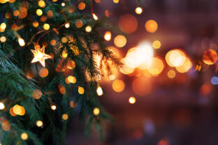 Christmas tree with garland lights. Evening city with blurred background