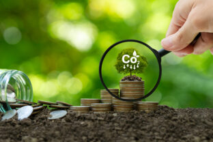 CO2 emission reduction concept. A clean and friendly environment without carbon dioxide emissions. green financial business He held a magnifying glass and looked at the stack of money and the growing plants.