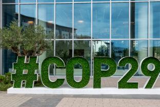 COP29