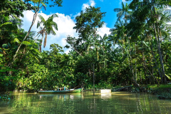 Wetlands in Belem do Para, Brazil