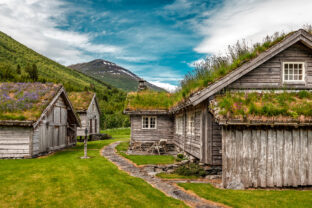 Abandoned cabins hut with turf grass blooming roof in Norway